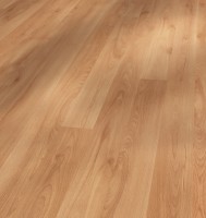 Vorschau: Basic 200 Buche
