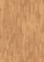 Vorschau: Basic 200 Buche