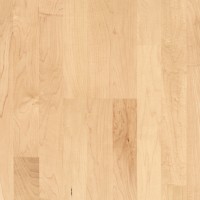 Vorschau: Basic 11-5 Natur Ahorn kanadisch matt lackiert